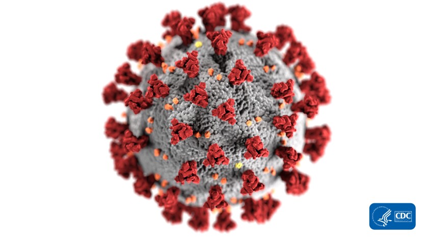 coronavirus.jpg