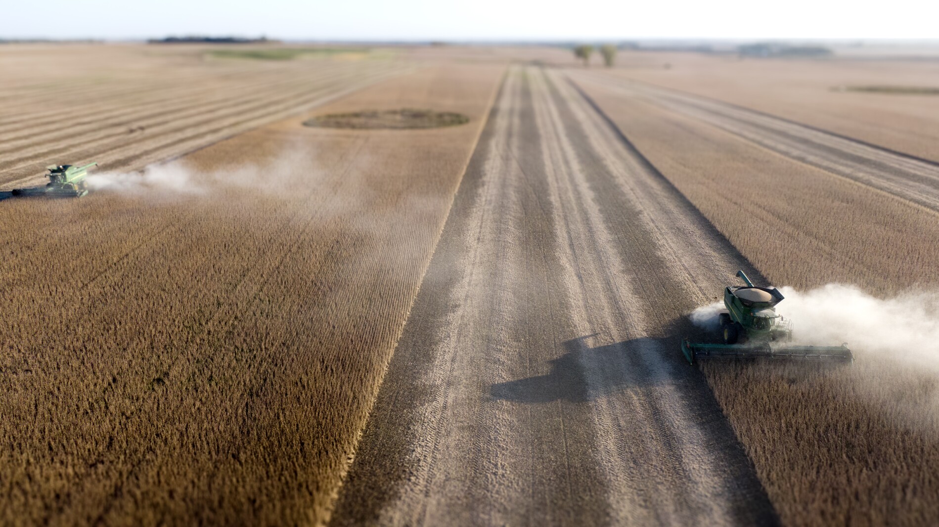 Tentative trade deal between U.S. and China could bring relief to region's soybean farmers