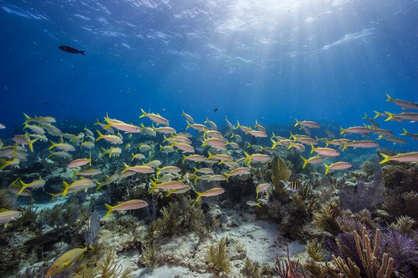 Biscayne Bay National Park, Florida