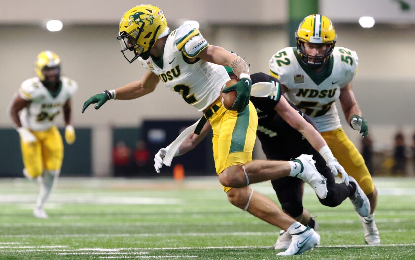 100221.S.FF.Bison.Weber
