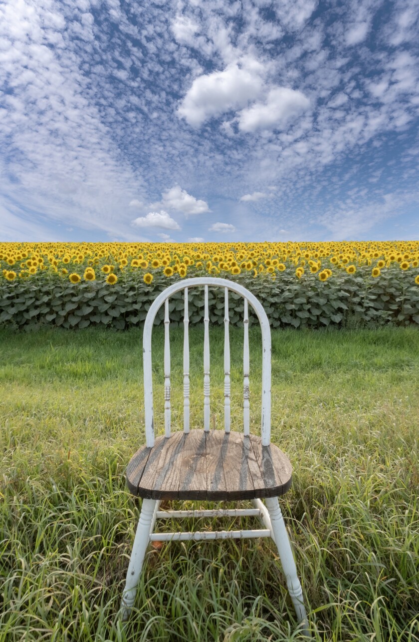 Chair Sunflowers-TAG Event Grand Forks.jpg