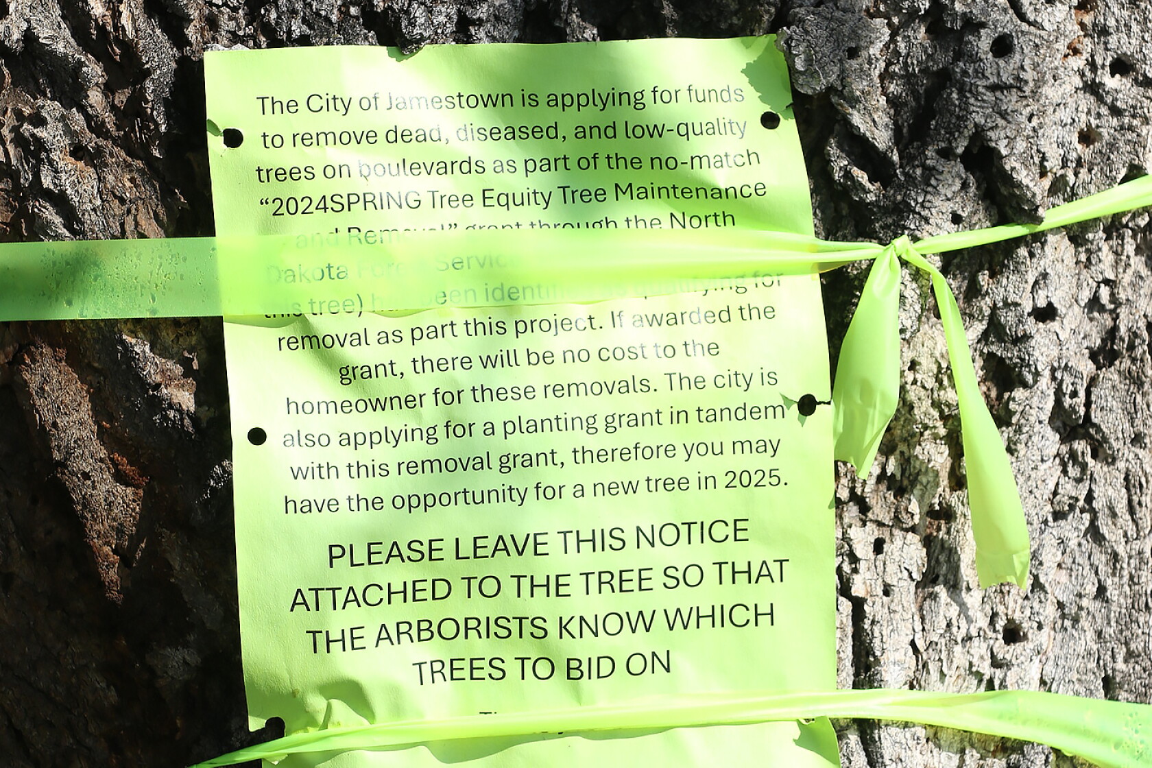 Tree Basic Signage Tree marking signage - Jamestown Sun | News, weather, sports from ...