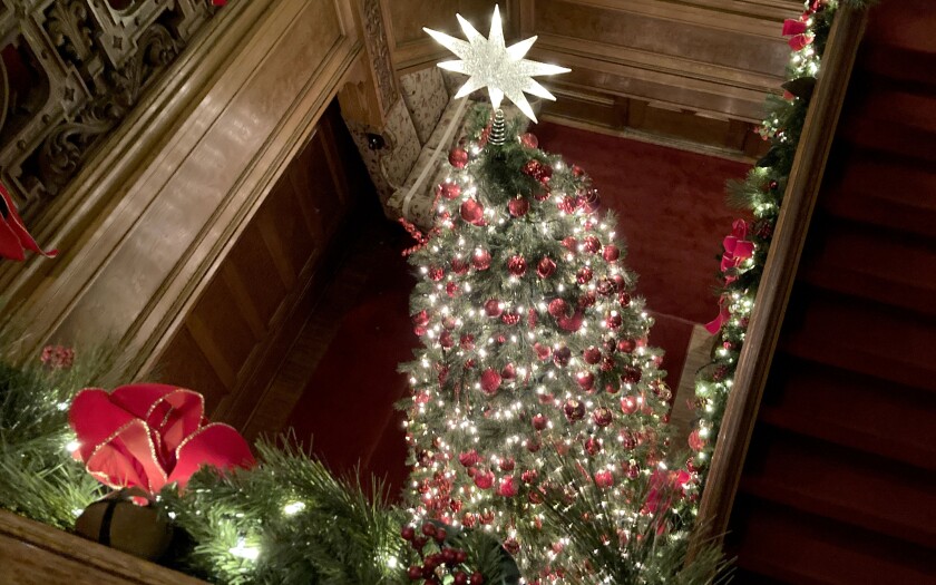Large Christmas tree at Glensheen