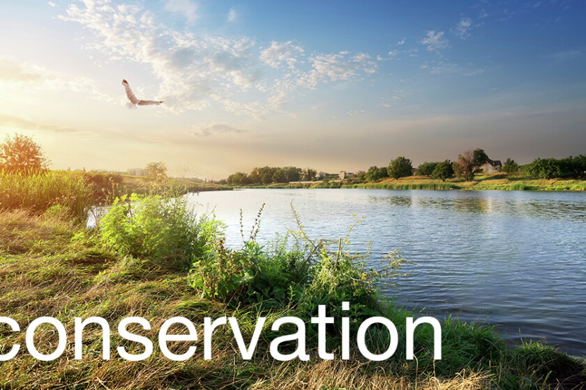 Is conservation aid preventing deforestation? - Agweek | #1 source for ...
