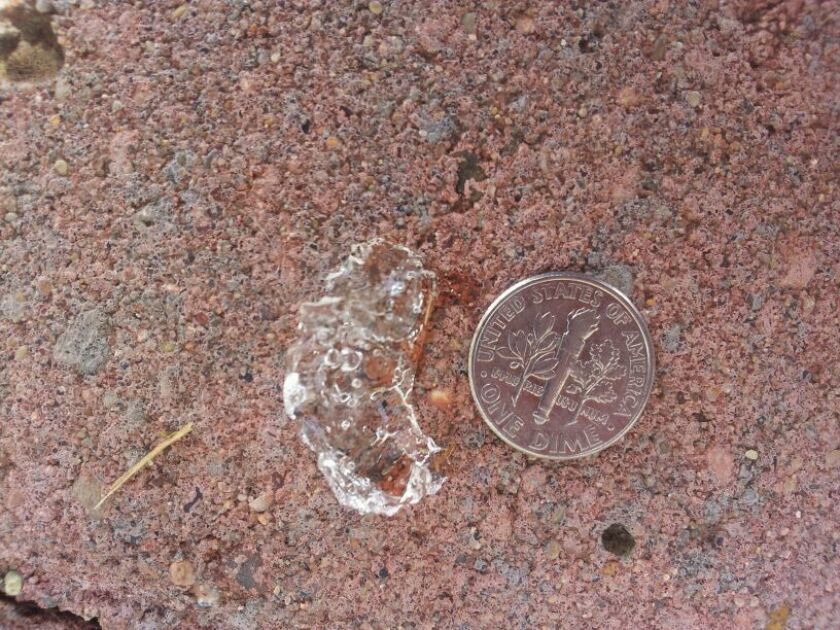Clear blobs appeared after rain
