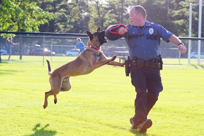 Baxter Police Sgt. Matt Maier runs to avoid the grasp of K-9 Rossi Tuesday during a demonstration in Oscar Kristofferson Park during Baxter’s Night to Unite celebration. Steve Kohls/ Brainerd Dispatch Gallery