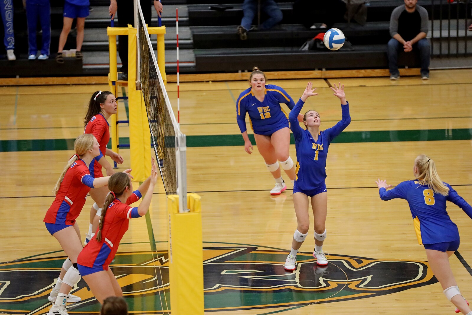 Pequot Lakes vs Wadena-Deer Creek Volleyball on Thursday, Nov. 3, 2022, in Sauk Rapids.