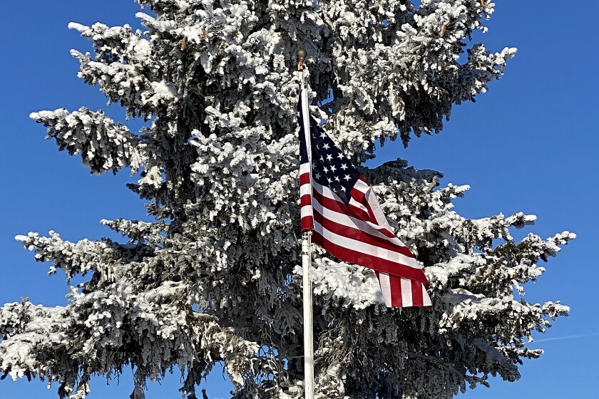 frosted tree with flag 010723.jpg