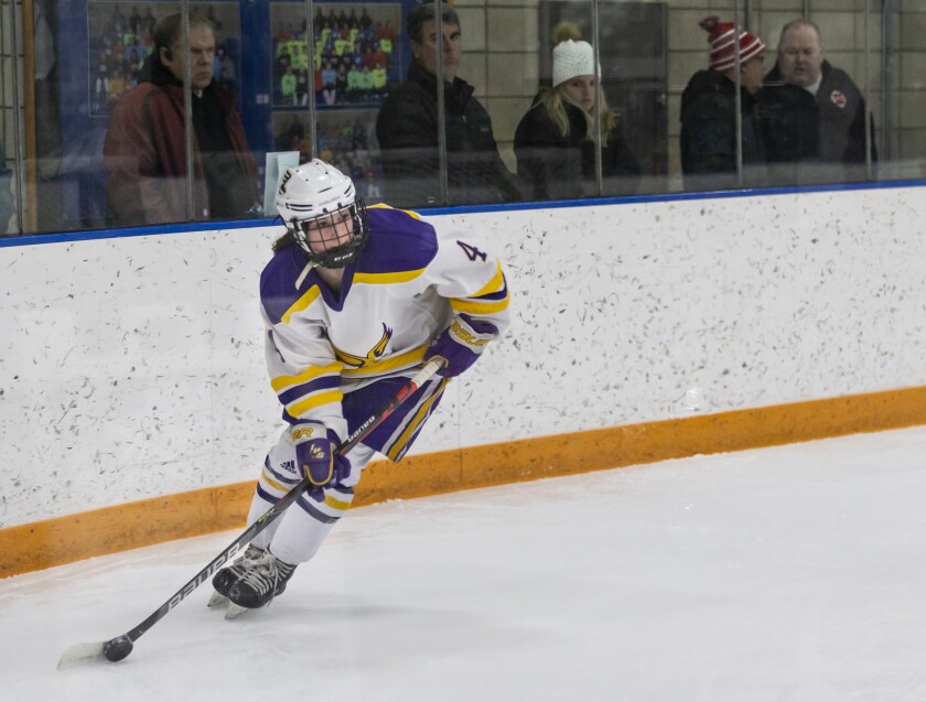 Lourdes vs. Faribault girls hockey Section 1A Championship