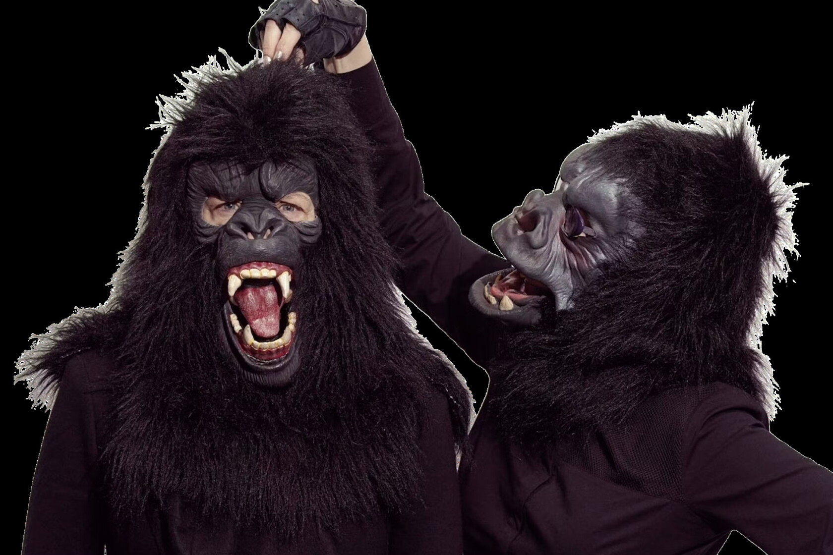 Guerrilla Girls Bring Art Of Protesting Museums To Plains Art Museum guerrilla-girls-bring-art-of-protesting-museums-to-plains-art-museum