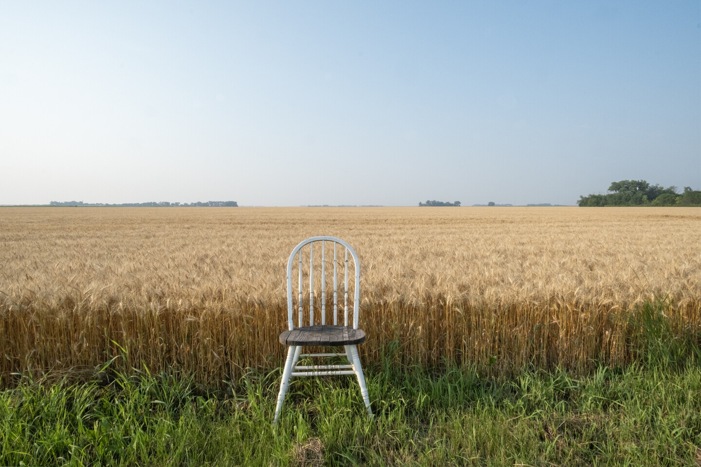Chair_Wheat Harvest_Scott Seiler.jpg