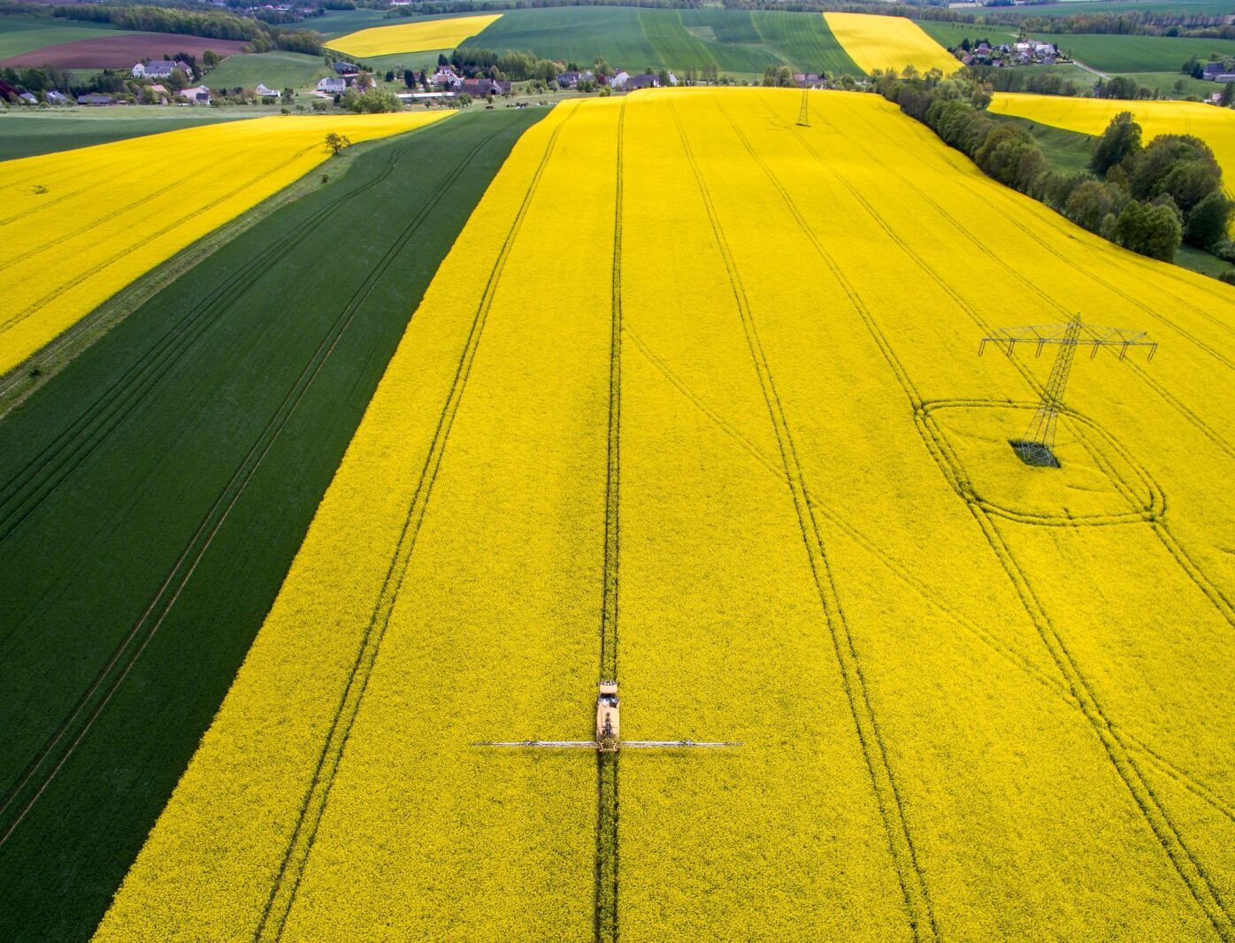 German poultry farmer embraces AI tech to optimize his business – Grand Forks Herald German poultry farmer embraces AI tech to optimize his business – Grand Forks Herald