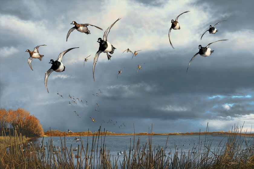 Ducks Unlimited Painting