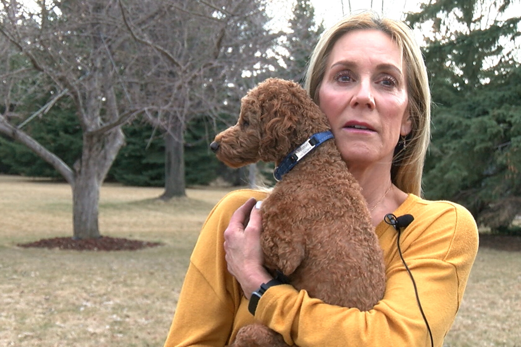 Fargo Rabbit Dog Dogs attack Fargo woman and her two dogs on a walk, killing one - Grand ...