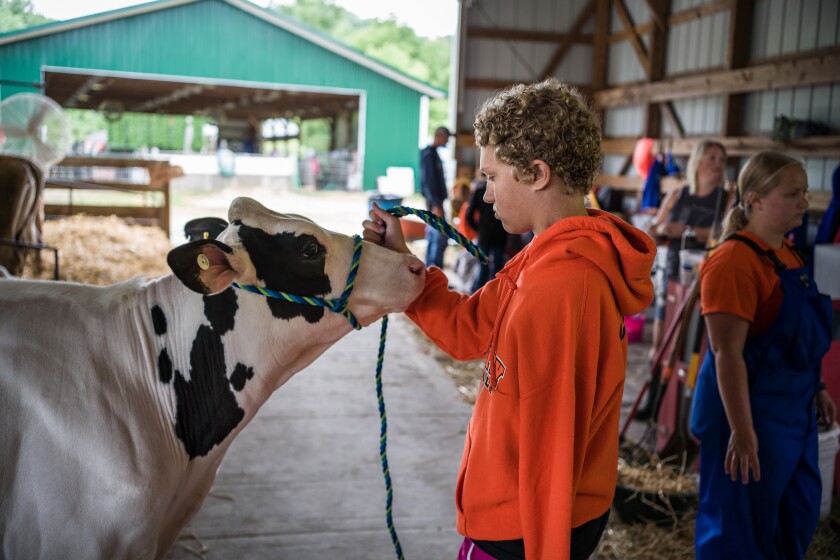 Wabasha County Fair
