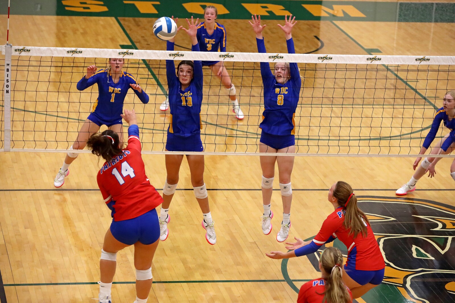 Pequot Lakes vs Wadena-Deer Creek Volleyball on Thursday, Nov. 3, 2022, in Sauk Rapids.