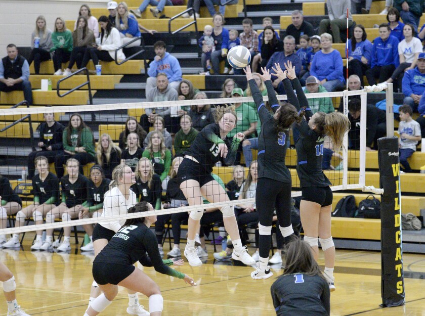 Minnewaska vs. Paynesville 110322.002.jpg