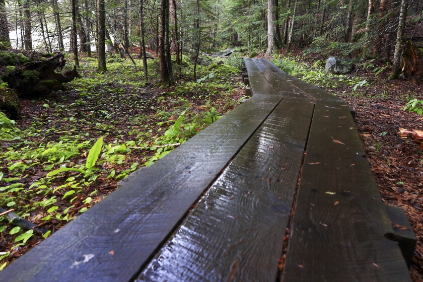 Landscapes and nature in wilderness park