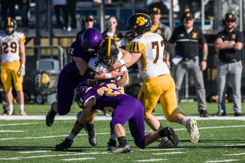 2 from Rochester, 2 from Stewartville among local players in Minnesota