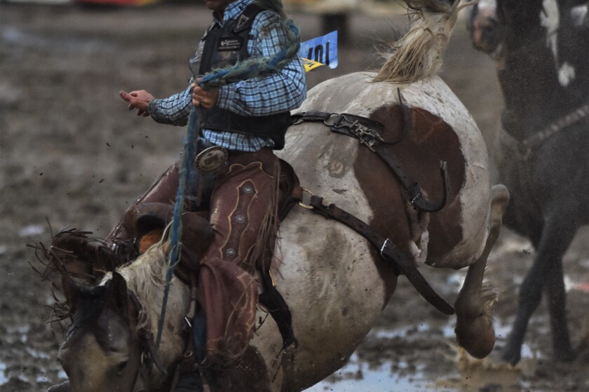 Mind over mudder: Cowboys dazzle in damp Roughrider Days Rodeo - The ...