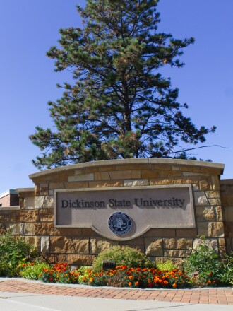 DSU