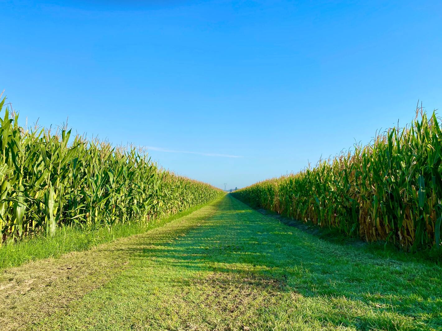 Field day offered for northwest Iowa high schoolers