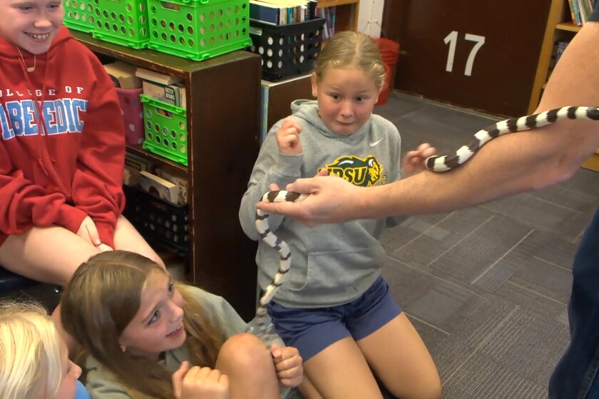 Fargo fifth graders meet snakes in the classroom - InForum | Fargo ...