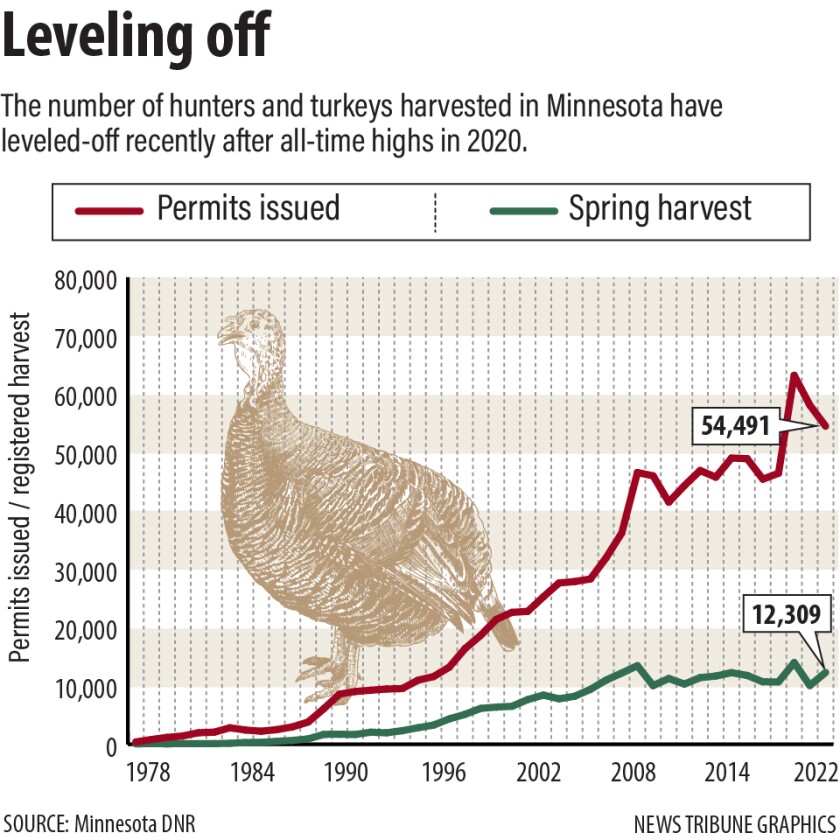 Minnesota, Wisconsin so far avoid mysterious southern states' turkey