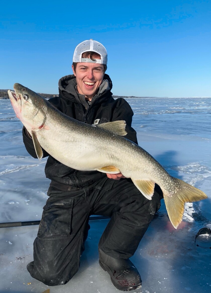 big lake trout