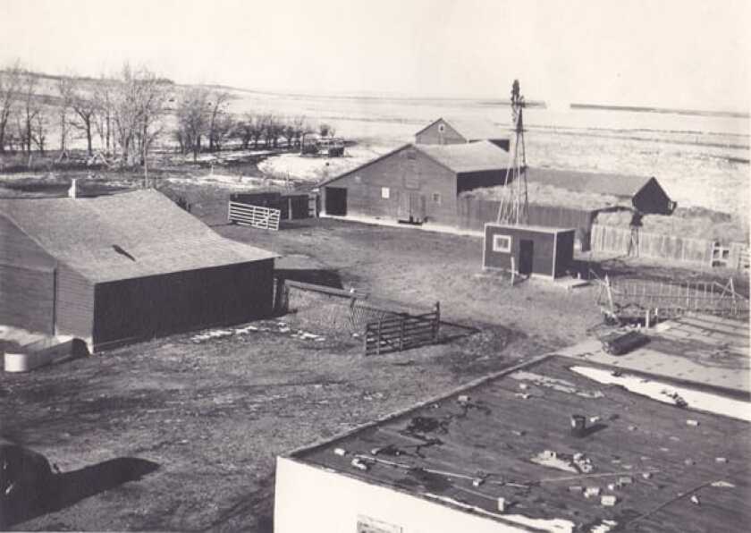 black leg ranch 1953.jpg