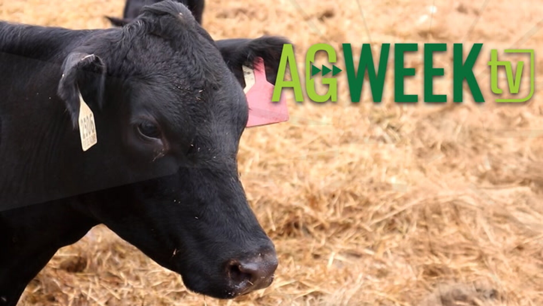 AgweekTV Full show: Food banks, conservation cost-share, beef imports, sunflower oil