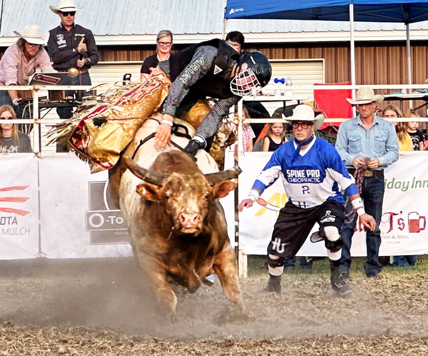 First Bull Riding Event Bull riding in Osakis draws big crowd w/video - Alexandria Echo Press ...