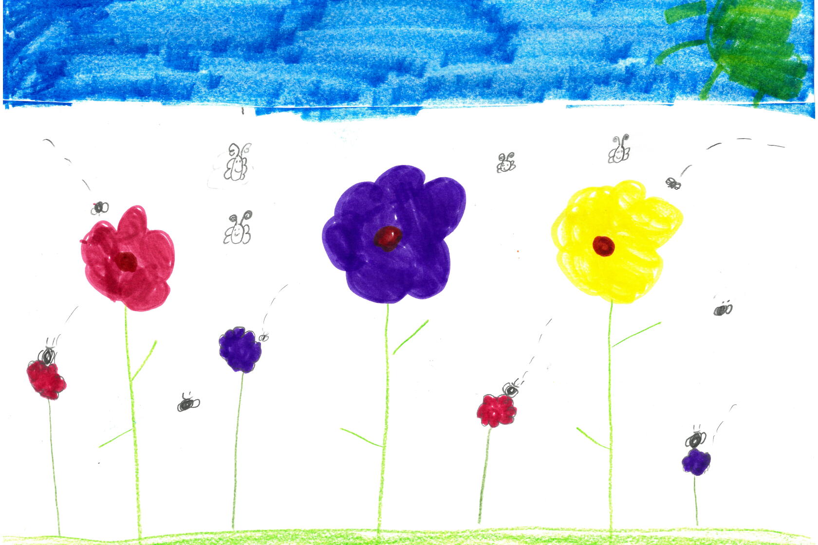 Weather Drawing: Flying to the flowers - Brainerd Dispatch | News ...