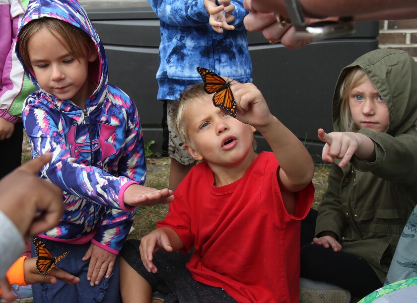 butterfly release group two 092122.jpg