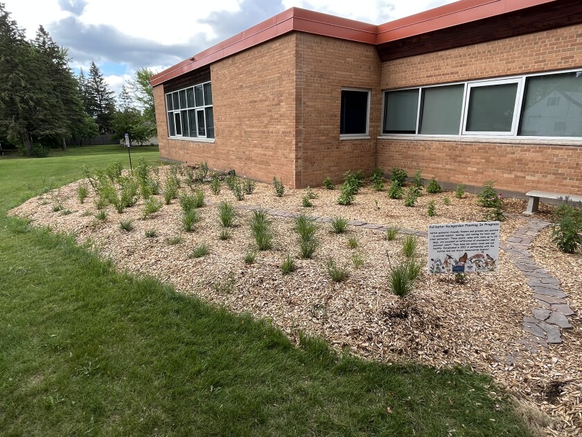 Pollinator rain garden