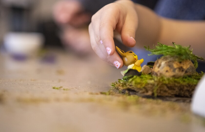 A Pikachu wearing an Eevee cap is placed into a terrarium by Emma Worcester as families gathered at the Willmar Public Library to build dozens of tiny homes for their Pokémon Thursday, March 31, 2022.