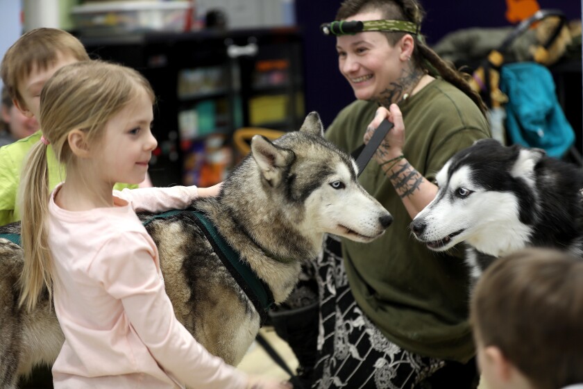 A young girl petting a dog while another dog waits to be petted.