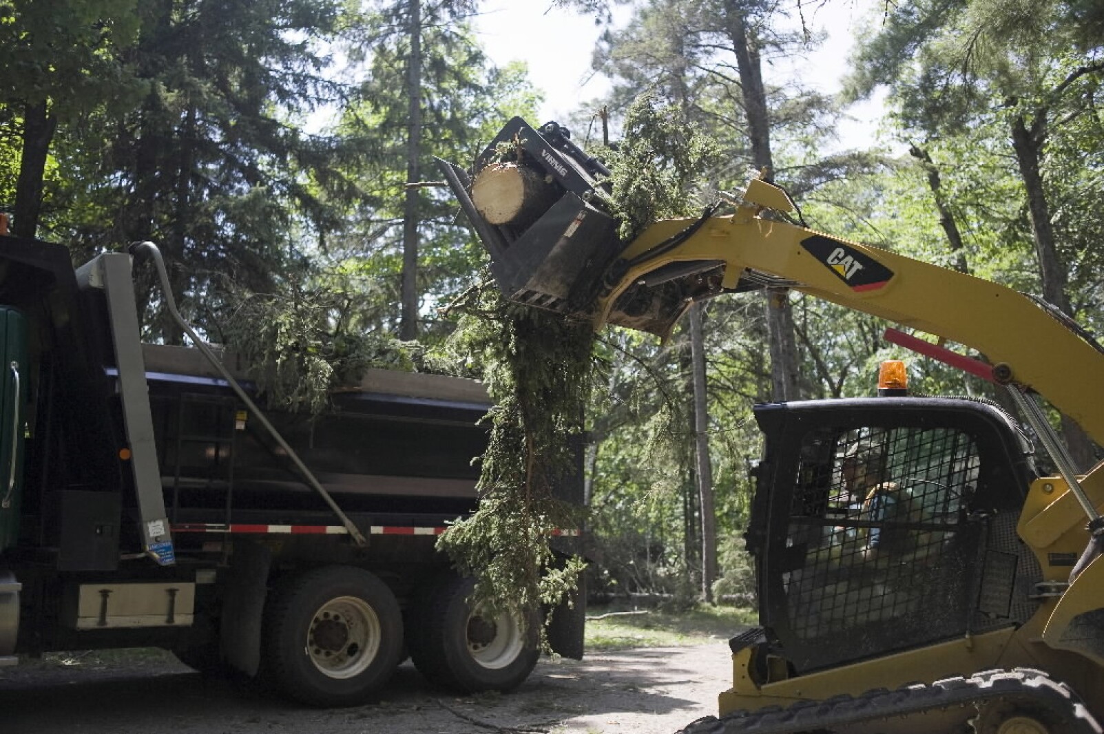 Itasca State Park suffers damage after heavy thunderstorms Grand