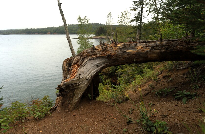 081421.O.DNT.HappyTrails.c05.jpg