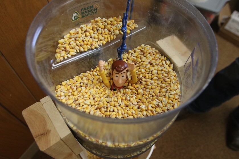 Woody, the cartoon character from Toy Story, sinking into corn in a simulation of a farming accident..jpg