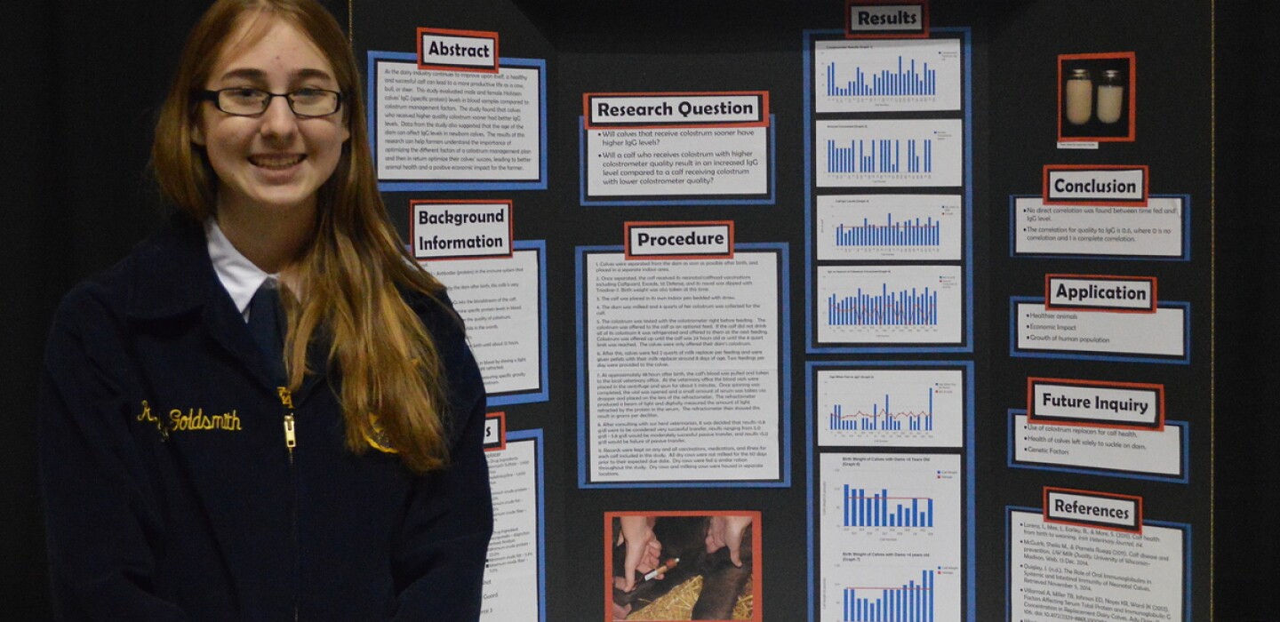 Goldsmith to share calf research at National FFA Agriscience ...