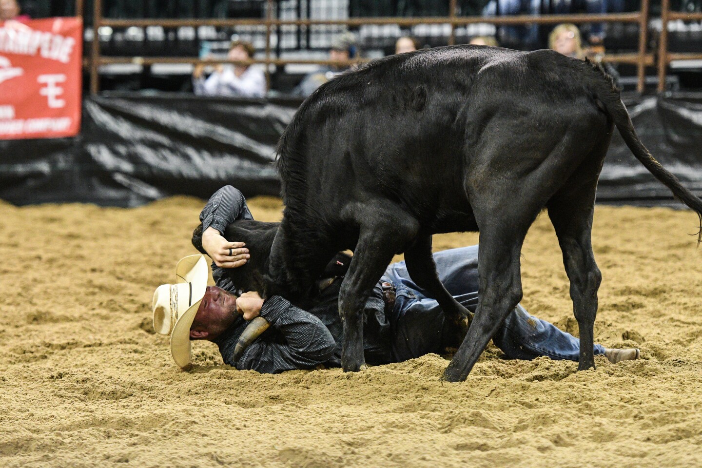 Photos: Minnesota Rodeo Association Finals underway at Sanford Center ...