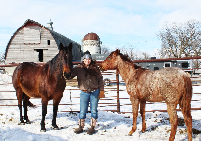 KellyHorses_0074.jpg