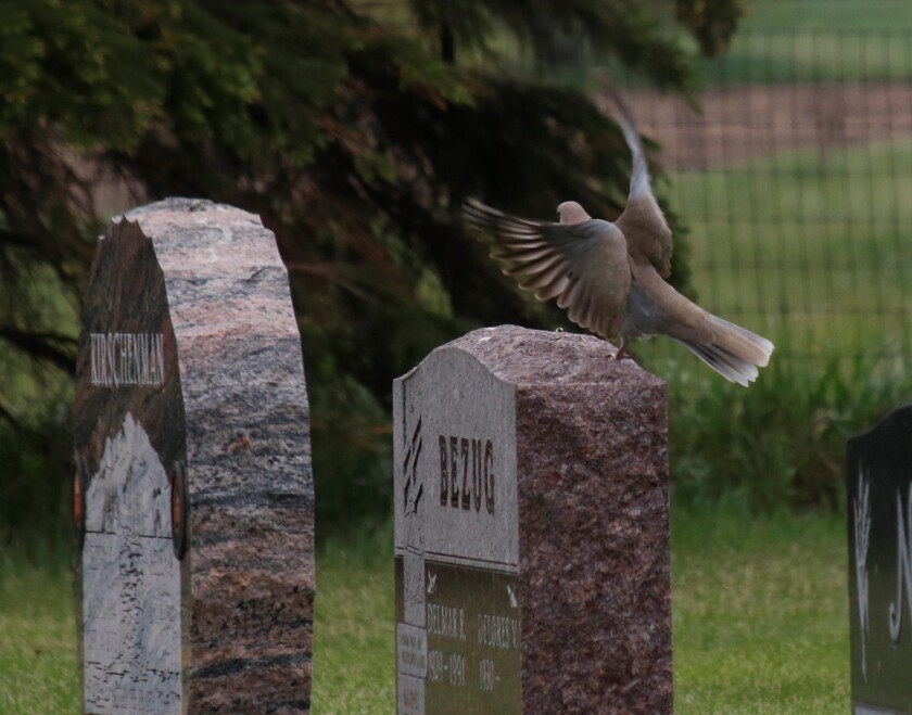 052822.N.DR.CEMETERIES4.jpg