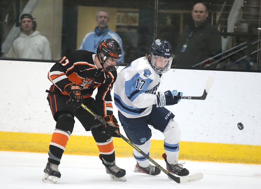 Player in white knocks puck in the air away from player in black.