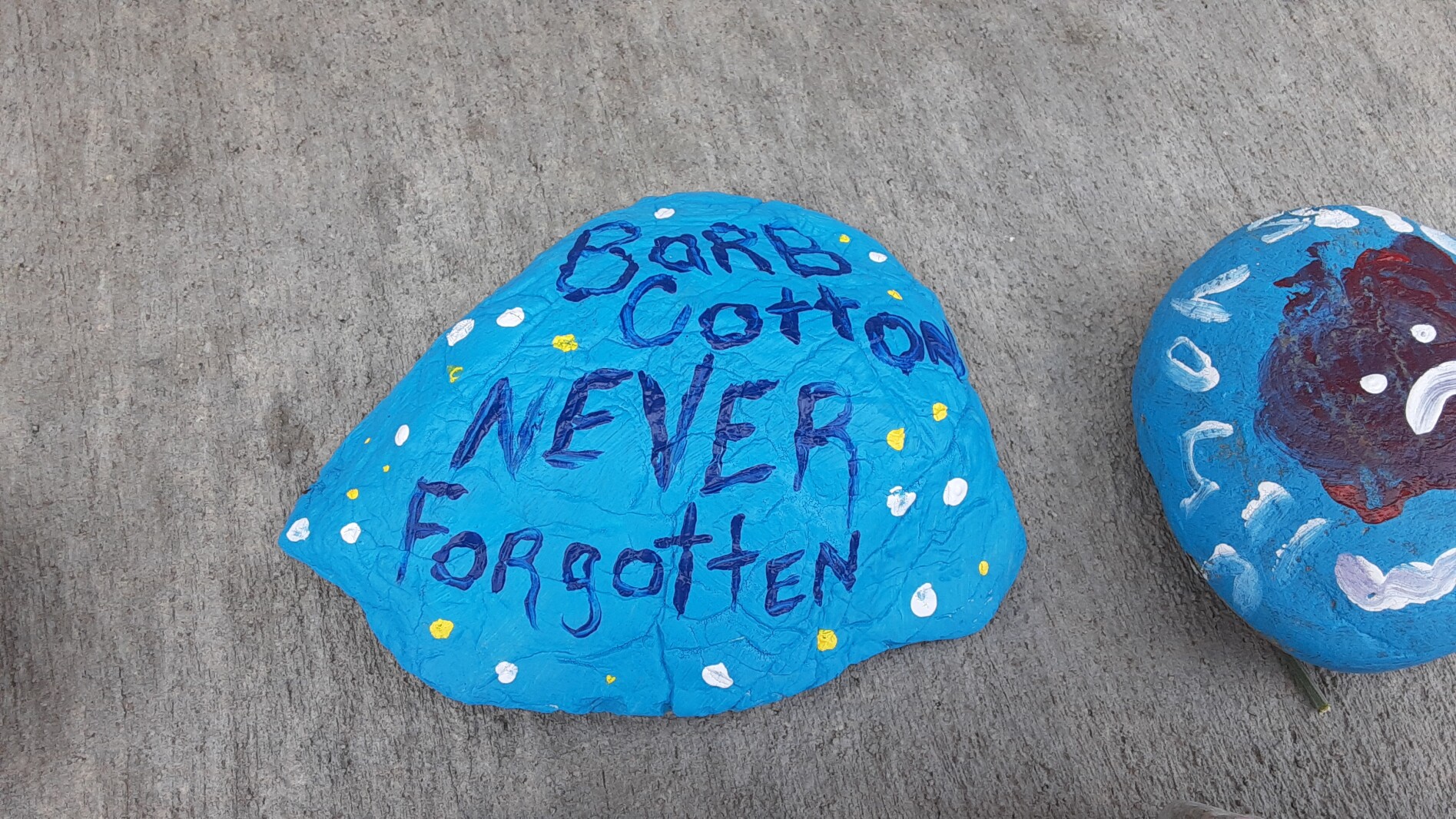 Barbara-cotton-never-forgotten-painted-rock-cold-case.jp