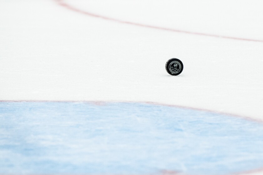 FSA NHL hockey puck general
