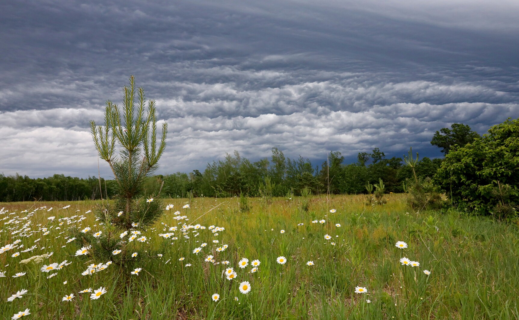 Dramatic looking storm clouds move through the area Saturday, June 18, 2022, in the Brainerd lakes area.