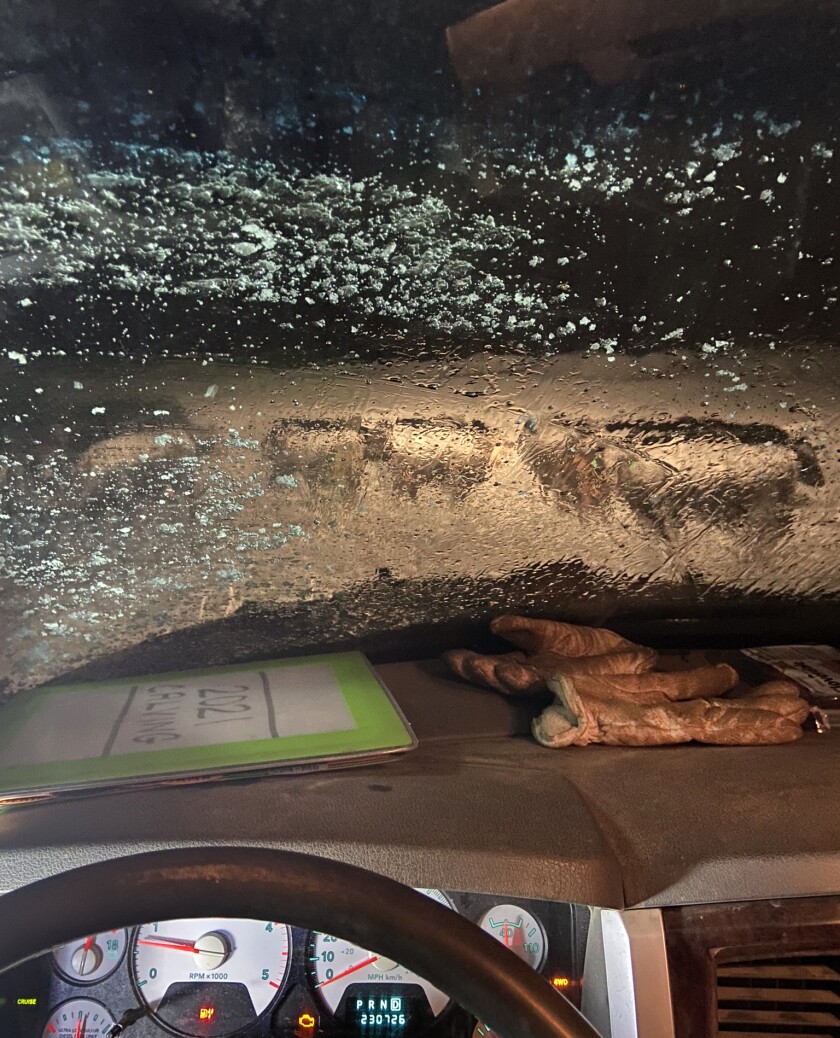Lacey Maier's view of the cattle is in her pickup, with work gloves and a calving chart on the dashboard.