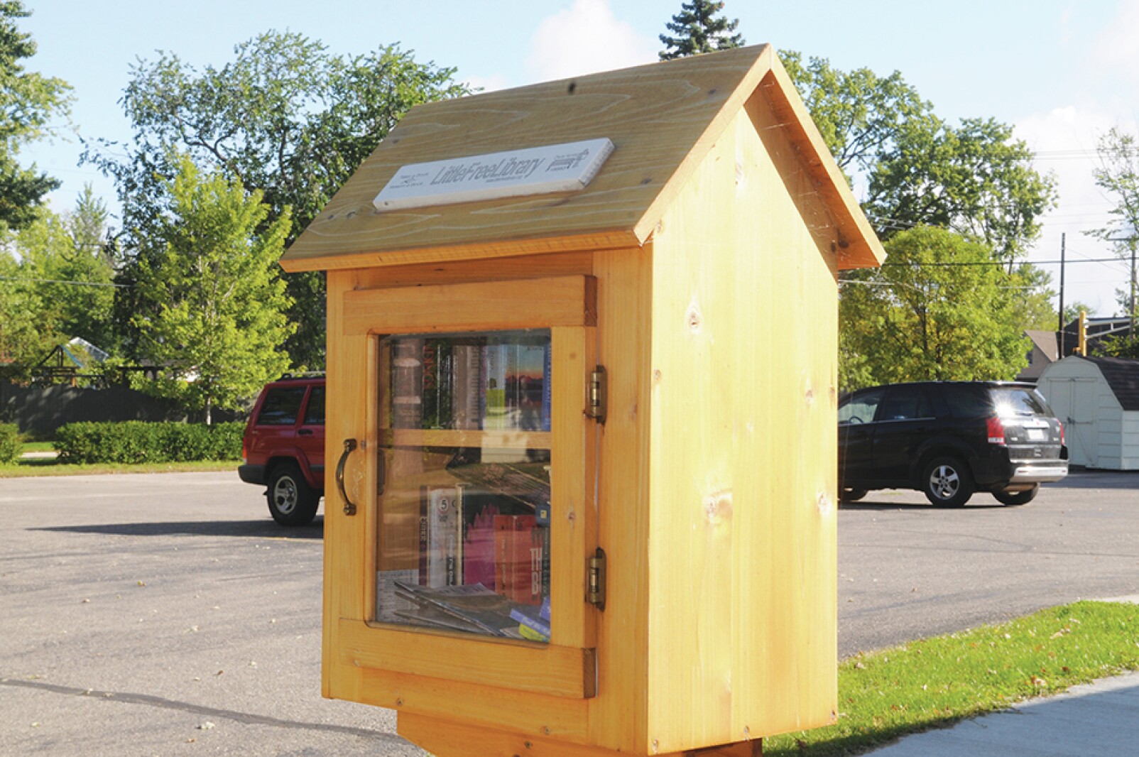 Spreading the love of literacy: Books more widely available thanks to ...